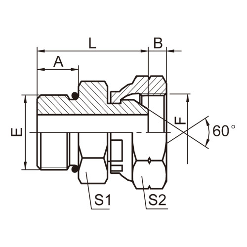 ɽͷ ADAPTER 2OB