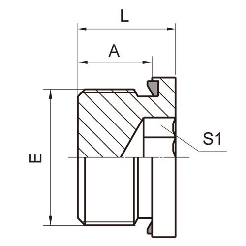 ɽͷ ADAPTER 4BN-WD