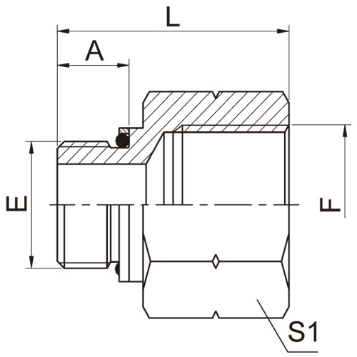 ɽͷ ADAPTER 5GB