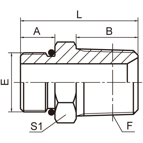 ɽͷ ADAPTER 1OT-SP