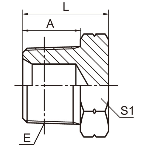 ɽͷ ADAPTER 4T-SP