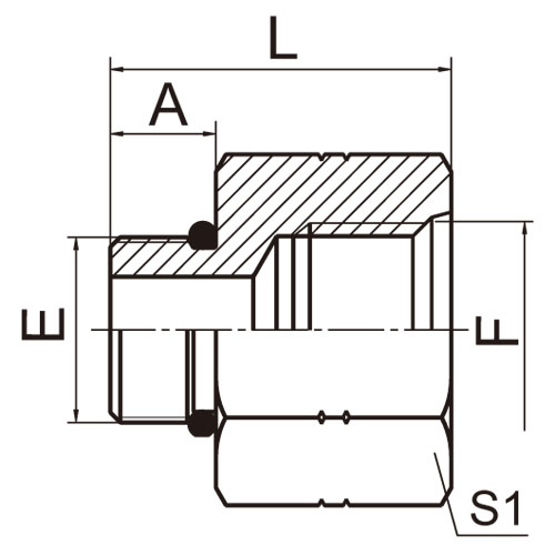 ɽͷ ADAPTER 5O