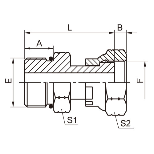 ɽͷ ADAPTER 2OF