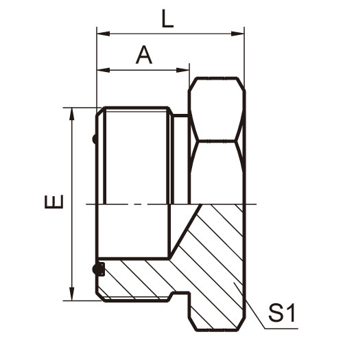ɽͷ ADAPTER 4F