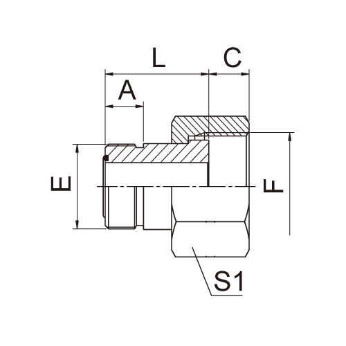 ɽͷ ADAPTER 5F-S