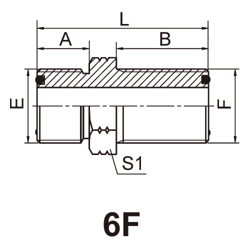 ɽͷ ADAPTER 6F