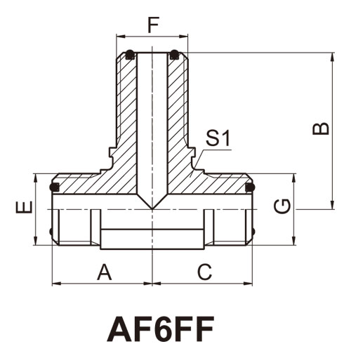 ɽͷ ADAPTER AF6FF