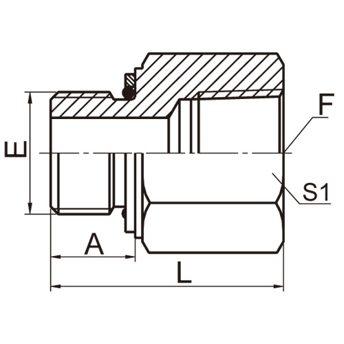 ɽͷ ADAPTER 5GN