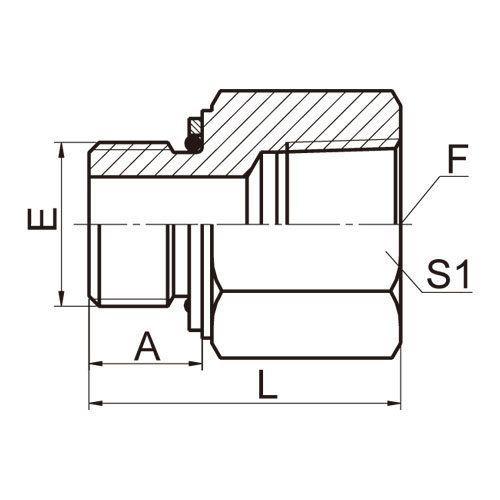 ɽͷ ADAPTER 5HN