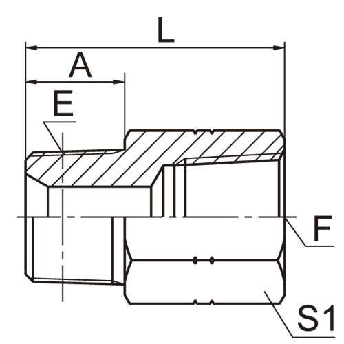 ɽͷ ADAPTER 5N