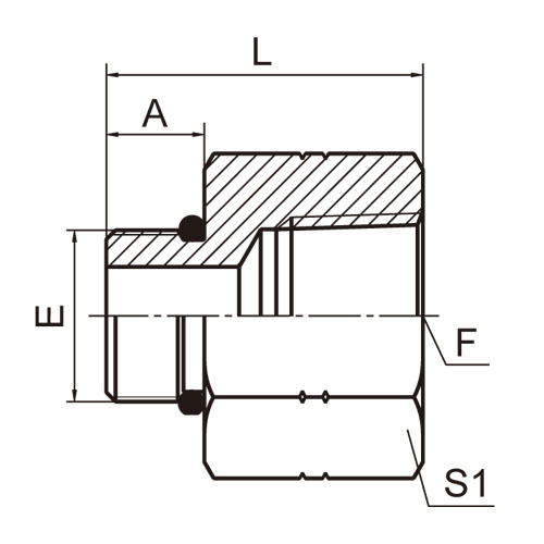 ɽͷ ADAPTER 5ON