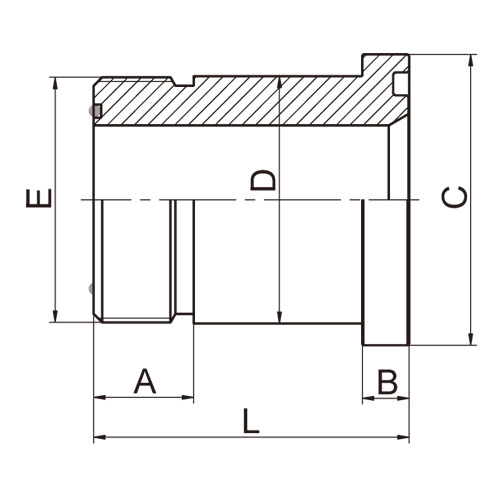 ɽͷ ADAPTER 1FFL